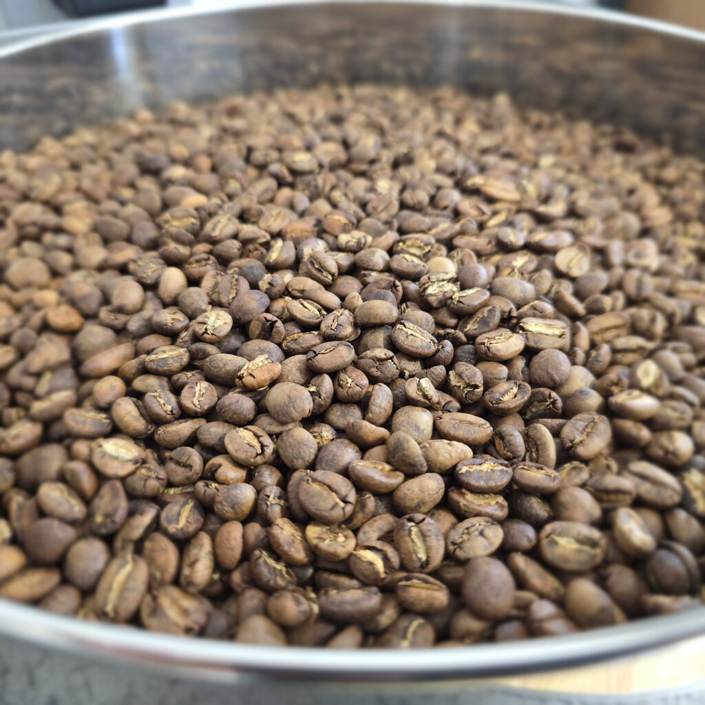 Bali Light Roast 408F